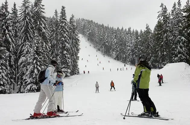 to match feature alpine skiing/bulgaria